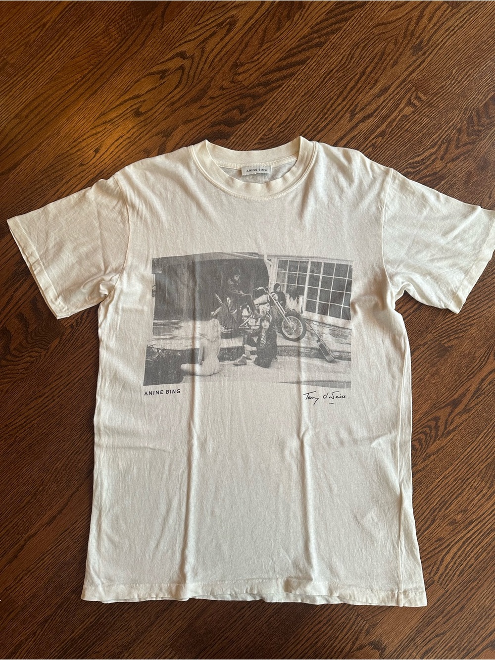 Anine Bing Lili Graphic Tee in Cream